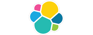 Elastic N.V. logo